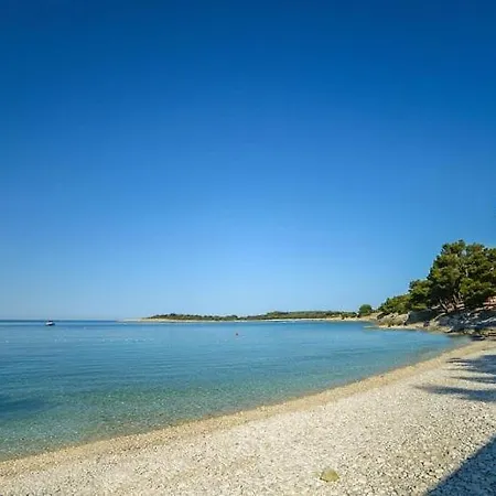 Bor Medolino
