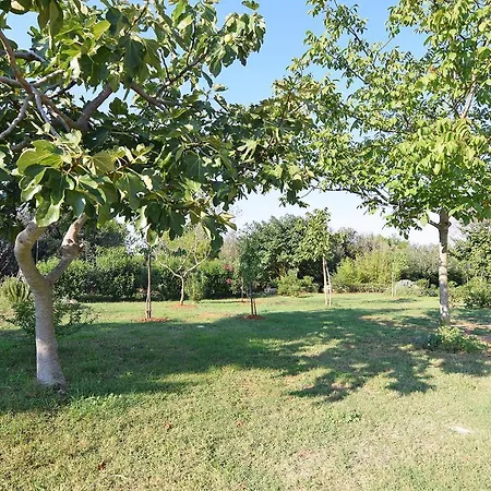 Bor Medolino