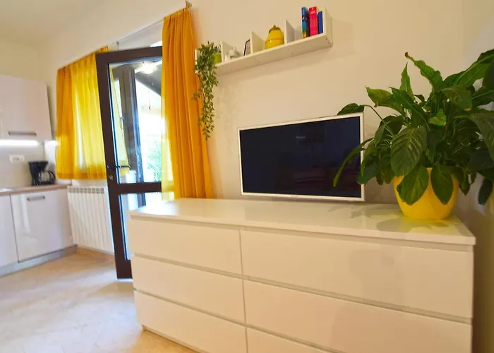 Bor Apartamento