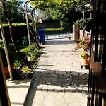 Bor 메덜린